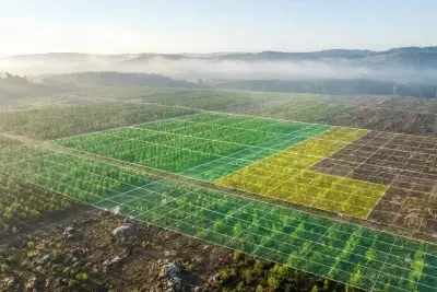 Crop Health Monitoring