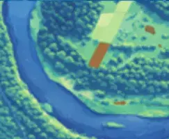 Forestry & Environmental Monitoring