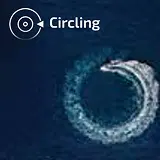 Soaring camera feature